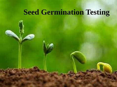 testing seed treatment impact|seed treatment research paper.